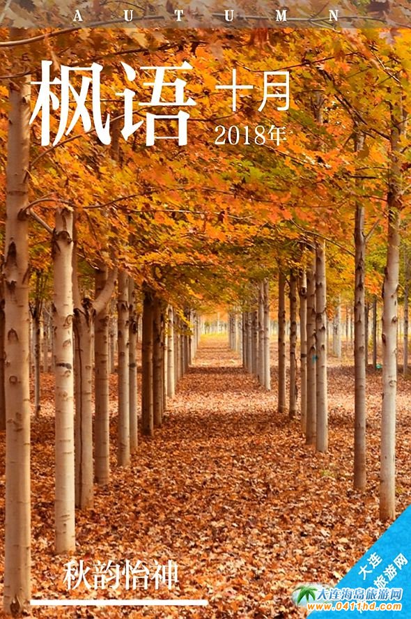 ���B�p���~