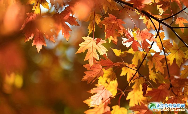 ���B�p���~