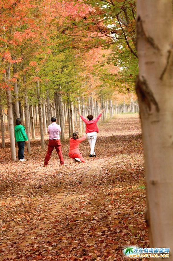 ���B�p���~