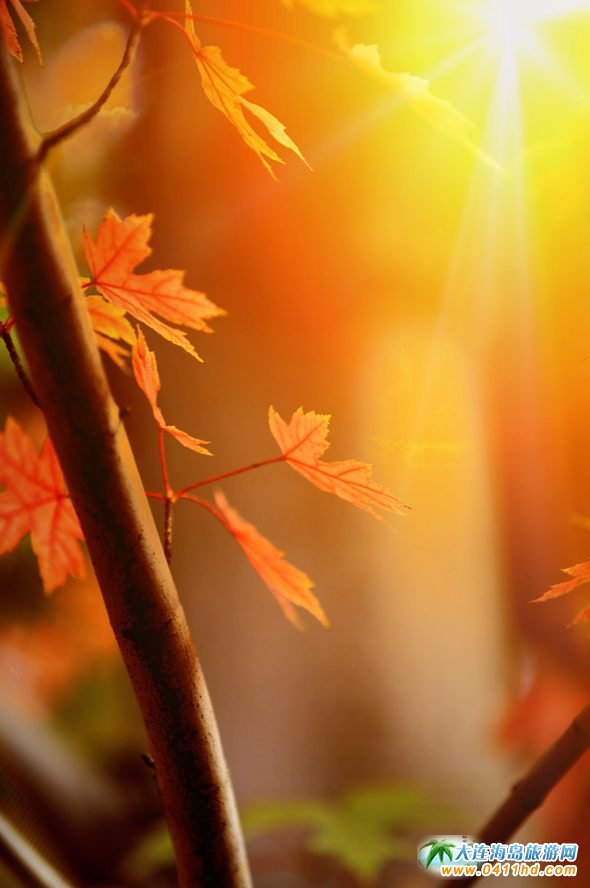 ���B�p���~