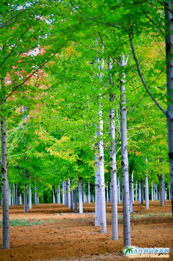 ���B�p���~