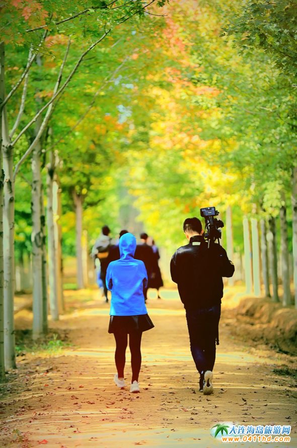 ���B�p���~