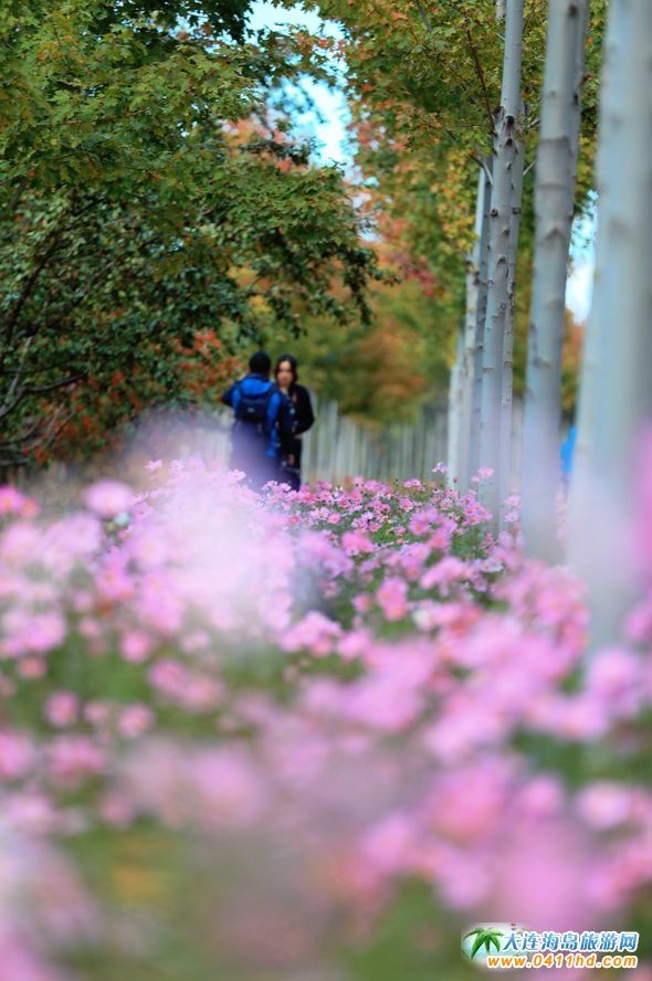 ���B�p���~