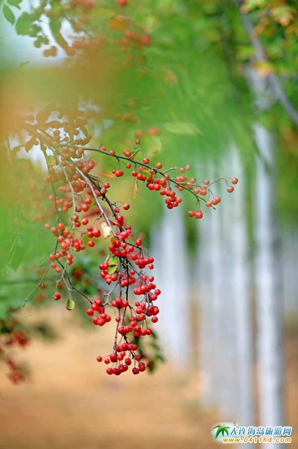 ���B�p���~