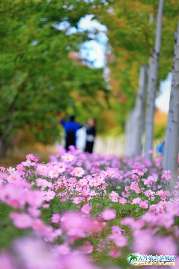 ���B�p���~