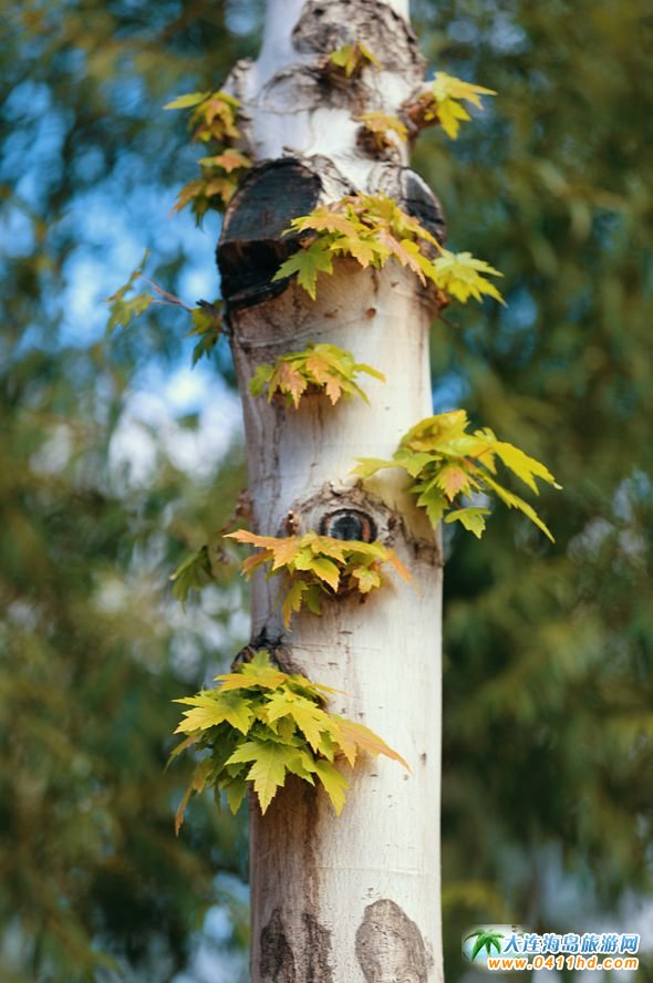 ���B�p���~