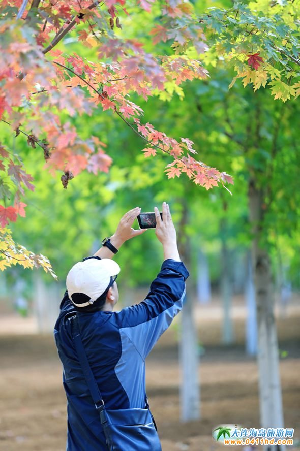 ���B�p���~