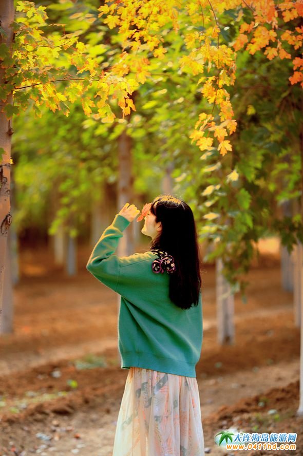 ���B�p���~