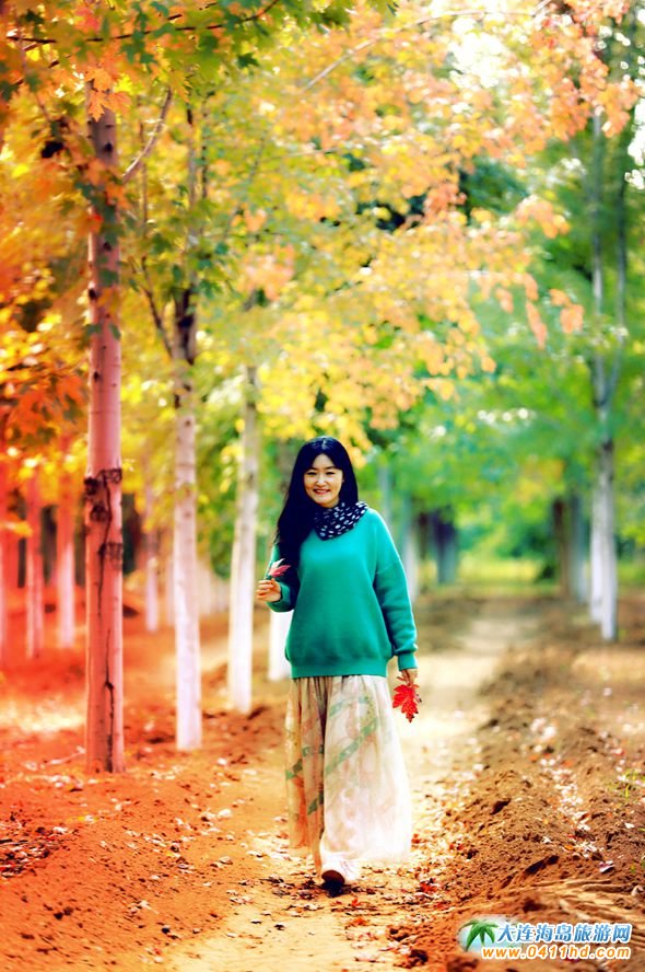 ���B�p���~