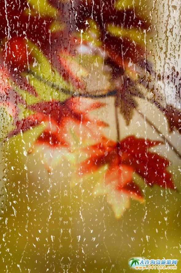 ���B�p���~