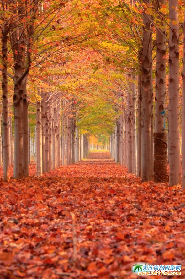 ���B�p���~