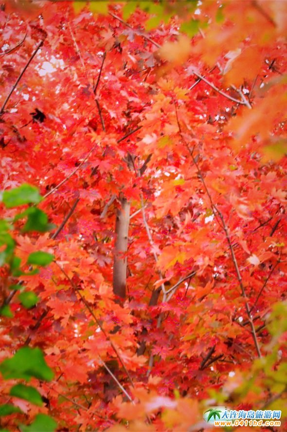 ���B�p���~