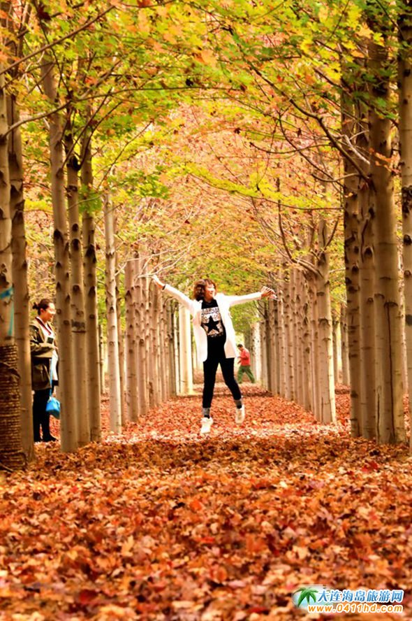 ���B�p���~