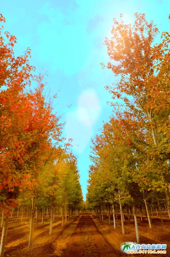 ���B�p���~