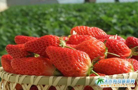 ��ʯ��������