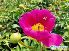 (���B���κ���Ϣ)ʯ�Ӵ�|�ϻ�����ˎ����m(x��)�`��