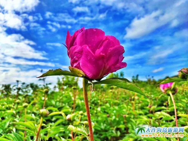 ʯ�Ӵ�|�ϻ�����ˎ��