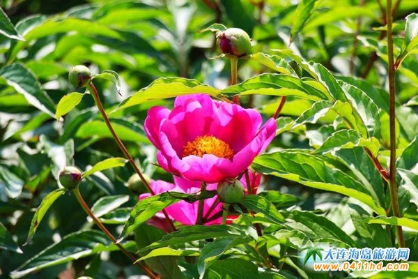 ʯ�Ӵ�|�ϻ�����ˎ��