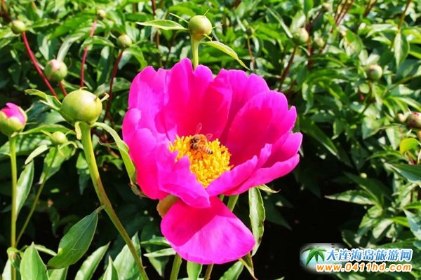 ʯ�Ӵ�|�ϻ�����ˎ��