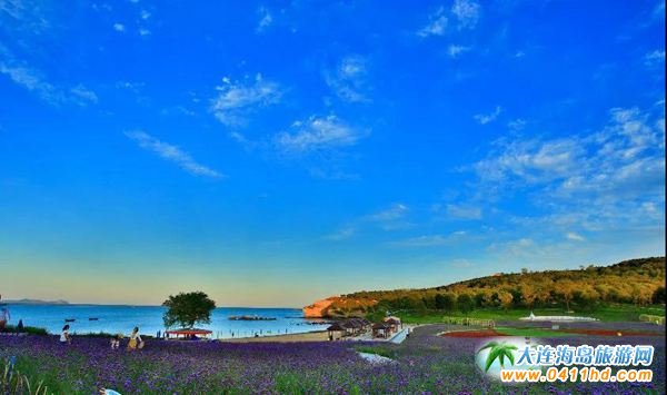 ��ʯ���Đ��u