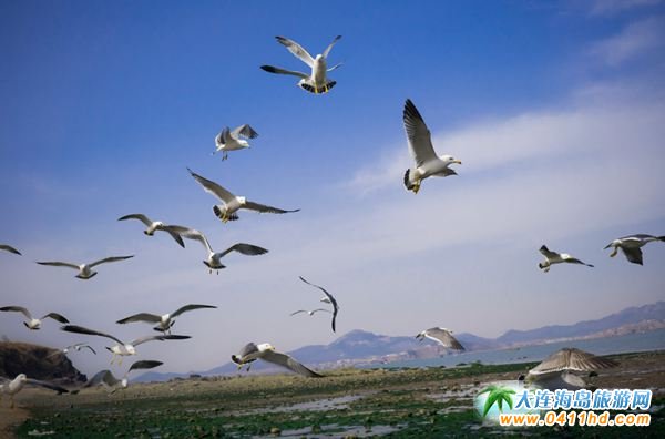 ��ʯ���Đ��u