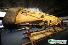 ����һ����ͯ��(ji��)����ʯ�Ļ����[�V���֏��_�����������L