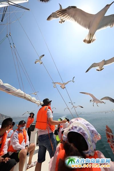 Сƽ�uʥϫ����(gu��)�H��ͧ�㘷(l��)��