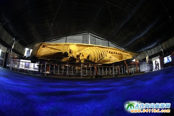 ���L���u��8��15�ձ�������ʯ�Ļ����[�V���֏�(f��)�_�ţ�