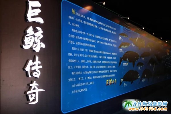 ���L���u��8��15�ձ�������ʯ�Ļ����[�V���֏�(f��)�_����