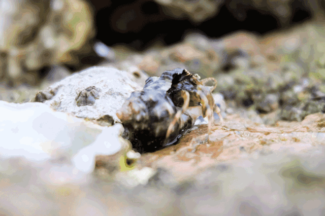 ���L���u��8��15�ձ�������ʯ�Ļ����[�V���֏�(f��)�_����