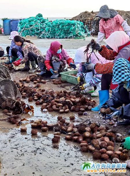 �L���h�R�S��đ