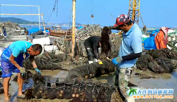 �L���h�R�S��đ