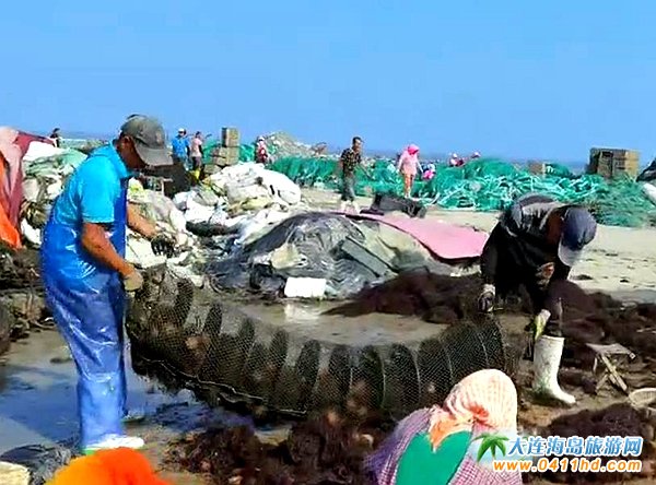 �L���h�R�S��đ