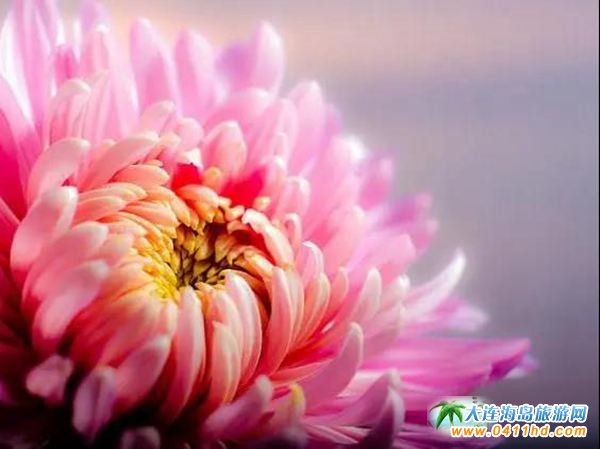 ���B��ʯ������