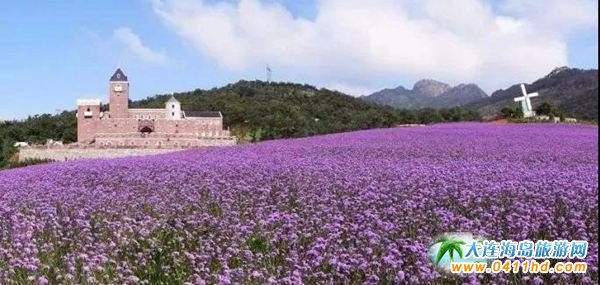 ���B���ƻ�ϫ޹�²��f�@