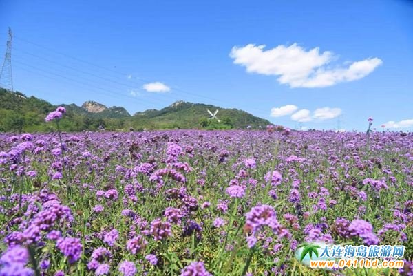 ���B޹�²��f�@