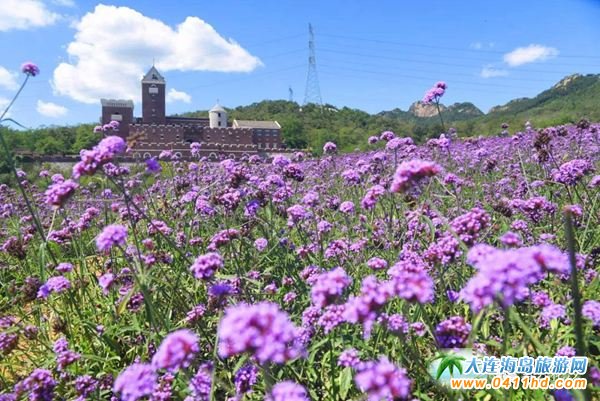 ���B���ƻ�ϫ޹�²��f�@