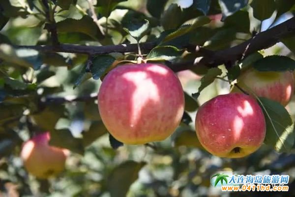 ���B���ƻ�ϫ޹�²��f�@