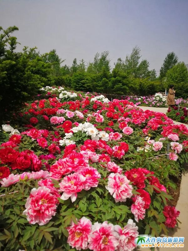 �A��ĵ���@