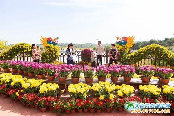 ���B��ʯ����Ӿ��(ji��)