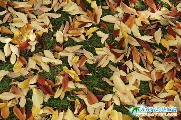 ��ʮ�ﱤ���~��