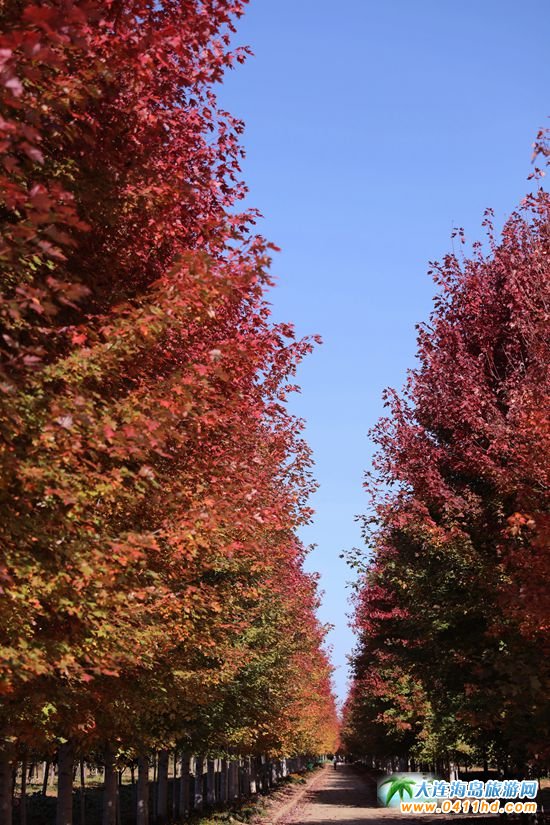 ��ʮ�ﱤ���~��