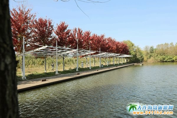 ��ʮ�ﱤ���~��