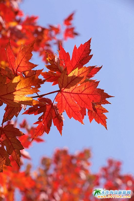 ��ʮ�ﱤ���~��