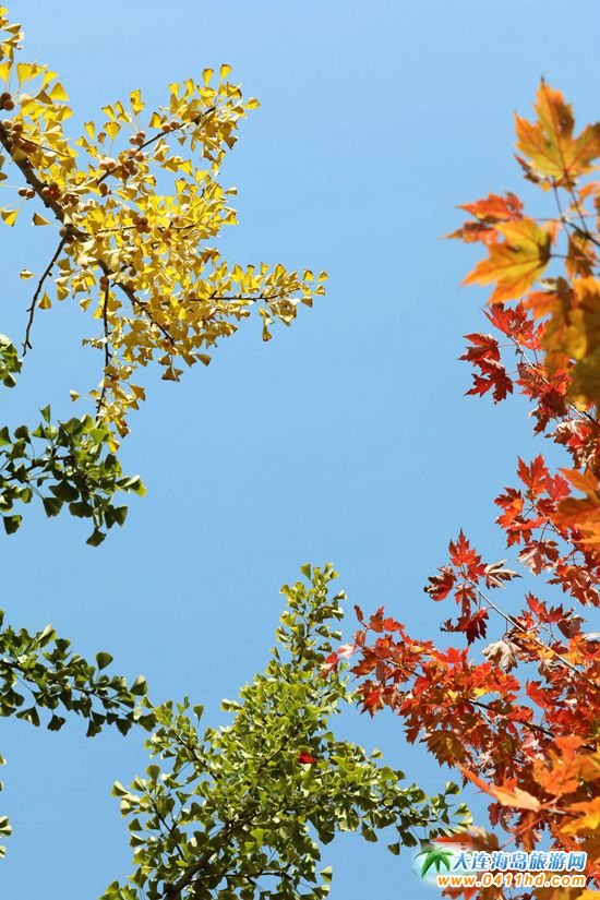 ��ʮ�ﱤ���~��