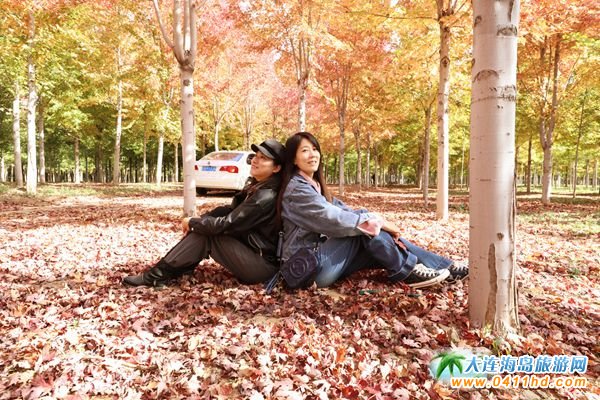 ��ʮ�ﱤ���~��