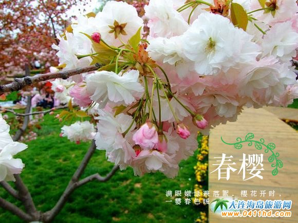 2021��혙ѻ��@