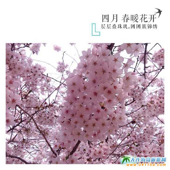 2021��혙ѻ��@