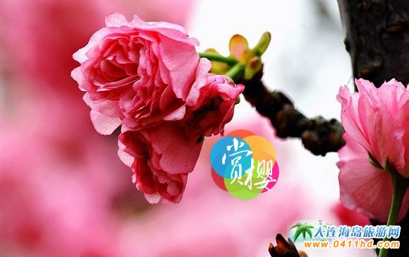 2021��혙ѻ��@