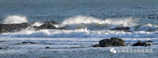 �L���h����